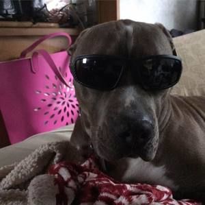 Meet your Posher, Wallace